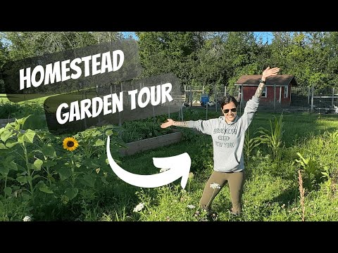 The 1/4 Acre Garden Tour | Homestead Garden Tour