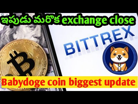 Bittrex exchange going to close in us / Babydoge coin listing in top 10 exchanges and burning