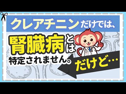 【クレアチニン】値が高い理由とその症状