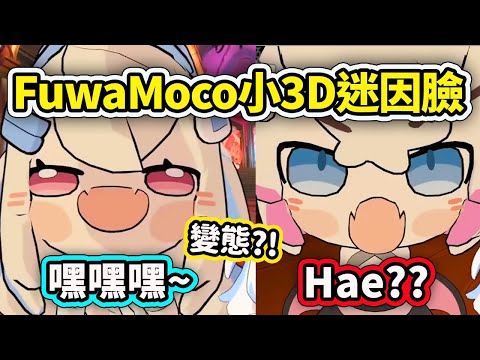 FuwaMoco的小3D迷因表情?! Fuwawa猥瑣變態嘿嘿嘿和Moco醬的HAE???【FuwaMoco】【Hololive中文精華】