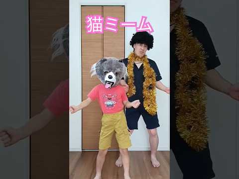 【踊ってみた】猫ミーム #dance #dancingcat #cat #shorts#めちゃシゲTV