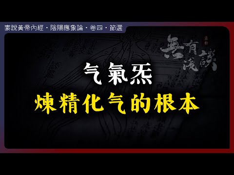 气 氣 炁 有什麼不一樣？煉精化氣的根本要素！