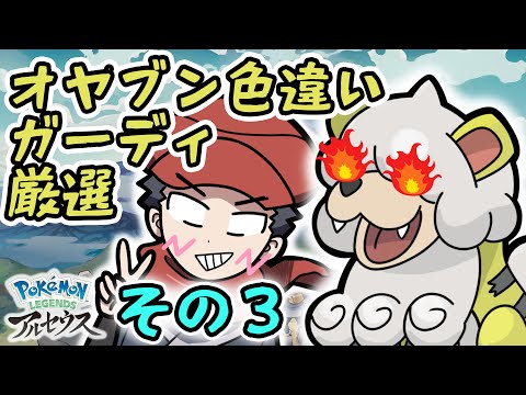 オヤブン色違いガーディ厳選ガチでやる配信その３【Pokémon LEGENDS アルセウス】