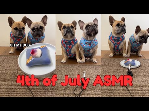 My dogs eat their favorite treat for the 4th of July!! Make sure your sound is up for the ASMR!