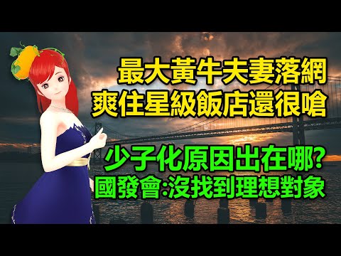 最大黃牛夫妻落網！爽住星級飯店還很嗆｜少子化原因出在哪? 國發會:沒找到理想對象 🍓20241024 #高雄林小姐 #Vtuber​​​​ #台灣Vtuber​​​ #台V