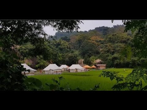 FAMILY PICNIC|CHANAKA ECO ADVENTURE CAMP|CRAZY VLOGGING|FUN TIME