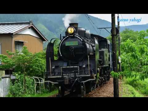 大井川鐵道 トーマス走った！2017 3 C11 190試運転 2017年7月9日