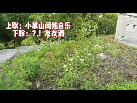 上联：小草山间独自乐  下联：？！友友请 #教育 #学习