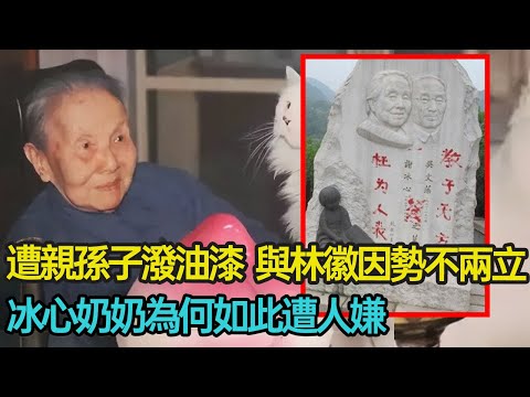 遭親孫子潑油漆當中控訴，嫉妒林徽因，被魯迅瞧不起···冰心奶奶為何如此遭人嫌？#倫理 #親情 #舊事 #才女 #家庭 #分享 #幸福人生 #第五情報站