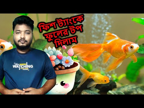 ফিশ ট্যাংকে ফুলের টপ দিলাম | Fish Tank | Mahid Dream Zoo