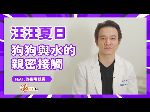 汪汪夏日：狗狗與水的親密接觸 Feat.許俊隆 院長【哈寵小學堂】｜#哈寵PETube 第287集