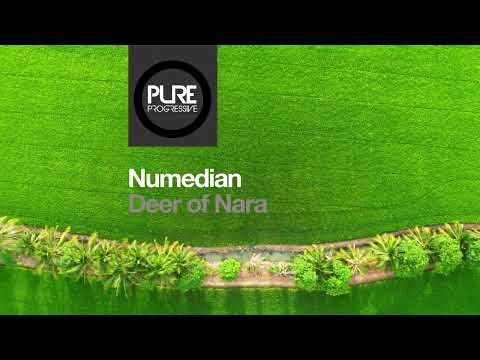 Numedian - Deer of Nara