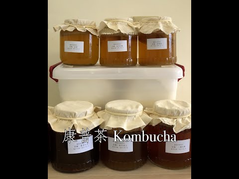 #Shorts 又到了喝康普茶的季節！康普茶發酵茶 Kombucha