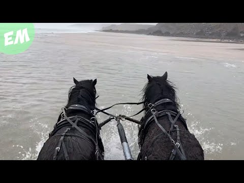 The Black Stallions head to the seaside for the first time!