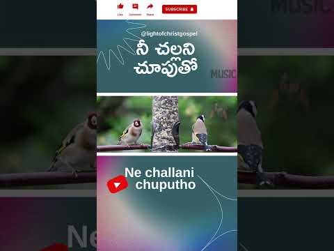 నీ చల్లని #shorts #teluguchristiansongs #jesussongs