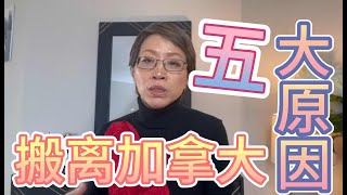 搬离加拿大5大原因移民梦碎|加拿大真的适合你？|加拿大的五大痛点导致越来越多的人搬离加拿大 |加拿大移民 | 萨省移民 | 亲身经历 | 亲身感想