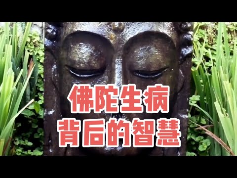 佛陀生病背后的智慧：神通与因果的启示