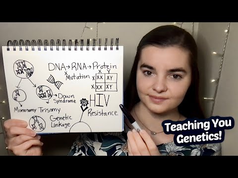 ASMR Teaching You Genetics! | Explaining Chromosomes and Mutations