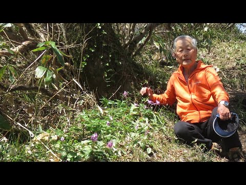 上蒜山登山