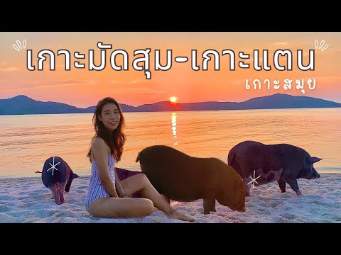 เที่ยวเกาะมัดสุม-เกาะแตน เกาะสมุย สุราษฎร์ธานี สายถ่ายรูปห้ามพลาด! l Surat Thani