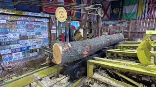 sawing four nice cherry logs and a new camera angle # 651