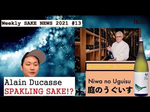 21W13 Alain Ducasse Sparkling Sake!? +Sake recommend[Niwa no Uguisu 庭のうぐいす]/ #Weekly Sake News