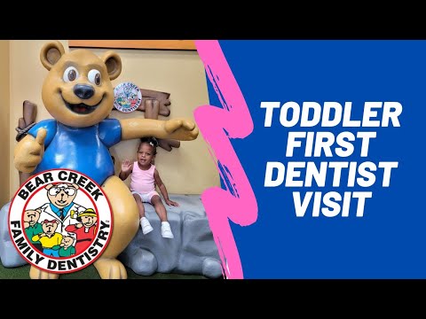 Toddler First Dentist Visit | Baby First Dentist Visit | Bear Creek Family Dentistry Review