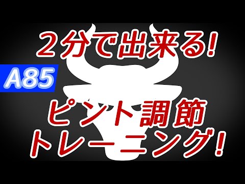 【Daily Eye Training】１回２分！スキマ時間に視力回復！vol.085