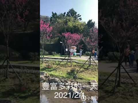 陽明山、北投公園、北投社三層崎公園、晶華酒店泳池星空電影院。