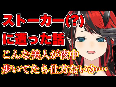 29歳、美人過ぎてストーカー（？）に付けられる～「ひき肉です」を添えて～【龍ヶ崎リン / ななしいんく/切り抜き】