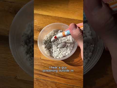 Miracle gecko eggs. 4 week update — marking reptile eggs