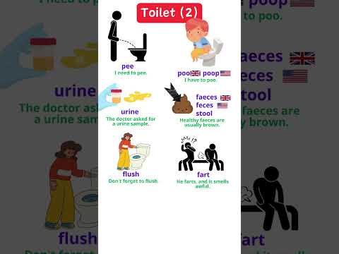 Toilet (2): pee, poo, poop, urine, faeces, feces, stool, flush, fart  #english #speakingenglish