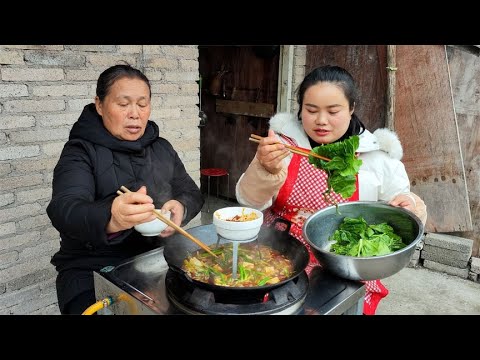 贵州风味，泡椒毛肚火锅，配新鲜青菜和豆腐，麻辣下饭【梅子美食】