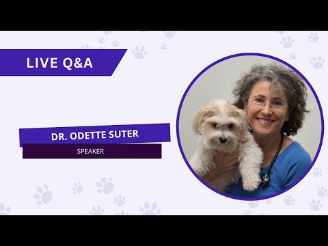 Dog Detox Summit Live Q&A with Dr. Odette Suter