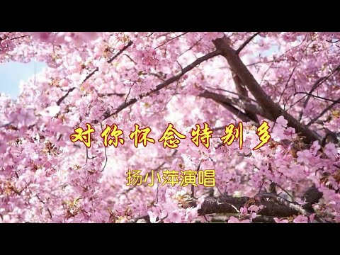 对你怀念特别多--杨小萍演唱