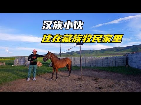 汉族小伙住藏族牧民家里是种什么体验？巨爱这背山面海的海景房【背包走遍中国】