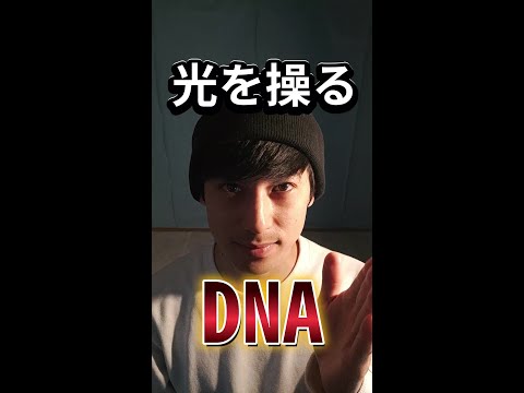 【DNAに隠された光子を操る力】DNAがこの世の支配者だった！？