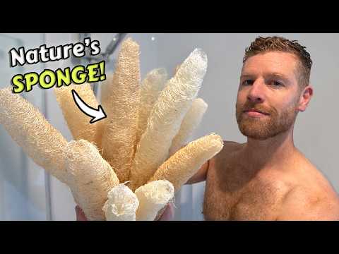 How To Grow Luffa from START to FINISH - Grow your own Loofah Sponges!