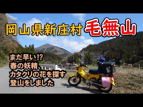 カタクリのお花にはまだ早い!?新庄村毛無山を登山