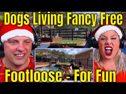 Reaction To Footloose - For Fun - Dogs Living Fancy Free | THE WOLF HUNTERZ REACTIONS