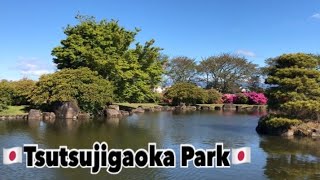 Tatebayashi Tsutsujigaoka Park Gunma,Japan (群馬県館林市)