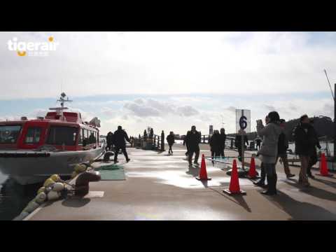 台灣虎航 | 解秘東北仙台 十秒看松島