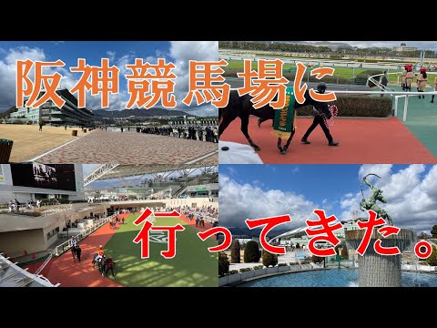 阪神競馬場に行ってきました【2024/03/09】