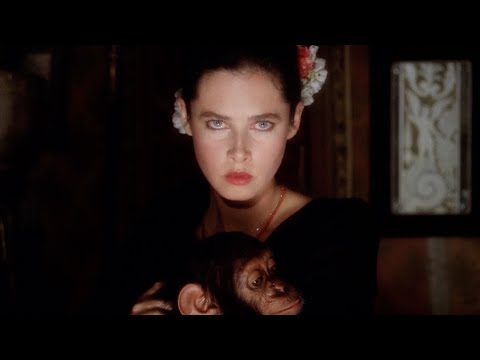 Le dernier amant romantique (1978) - music by Pierre Bachelet