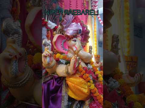 NIPER RAEBARELI GANESH CHATURTHI CELEBRATION   #niperraebareli #niper #niper2025 #ganeshchaturthi