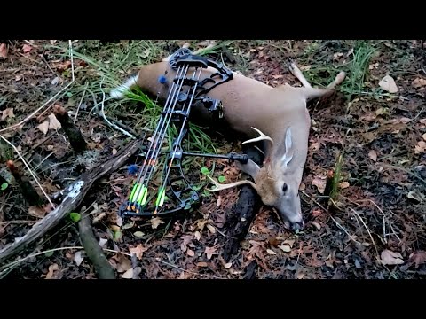 DEER HUNTING SOUTH CAROLINA 2024 Ep.2 | #publicland | #bowhunting