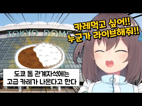 카레 먹고 싶다고 돔 라이브 해달라는 마츠리 [홀로라이브/나츠이로 마츠리]