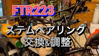 ステムベアリング交換&調整【FTR223-】 ガタとゴリ