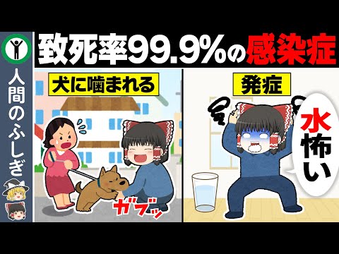 【致死率99.9%】狂犬病にかかるとどうなる？【ゆっくり解説】