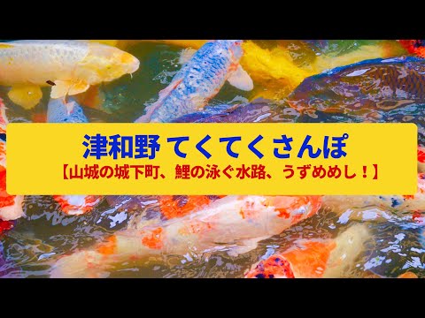 【てくてくさんぽ】津和野　山城の城下町、盆地の小京都〈殿町通り、津和野城跡〉Walk around Tsuwano,SHIMANE JAPAN